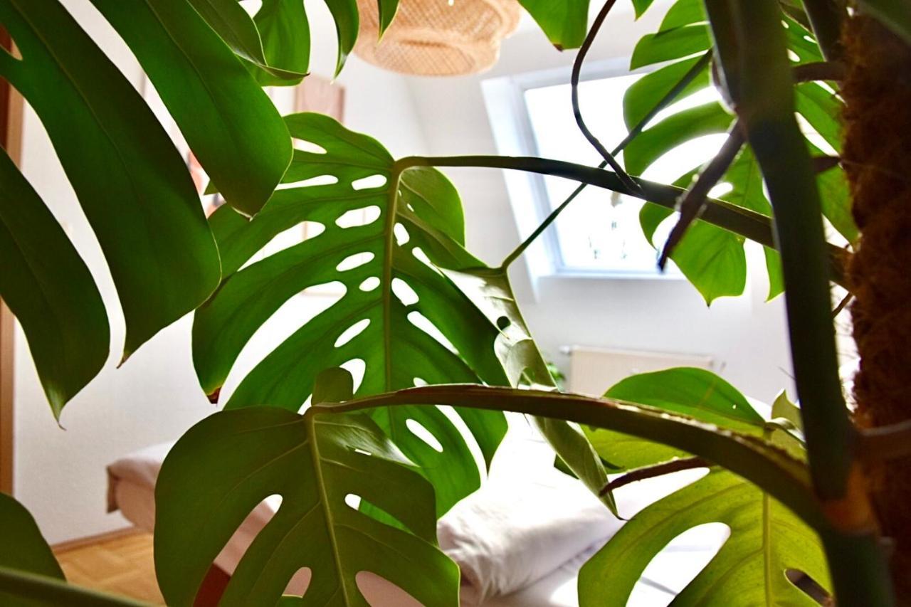 Greenbnbs: Cozy Urban Jungle In The City Centre Essen Esterno foto