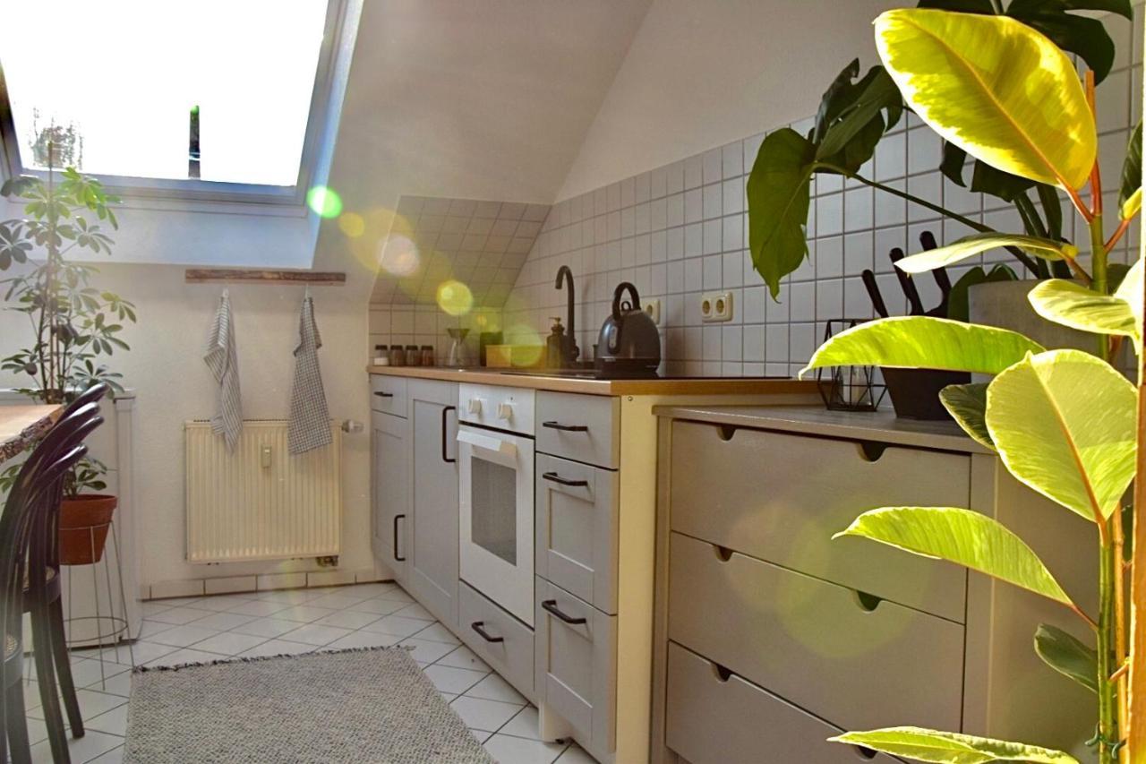 Greenbnbs: Cozy Urban Jungle In The City Centre Essen Esterno foto