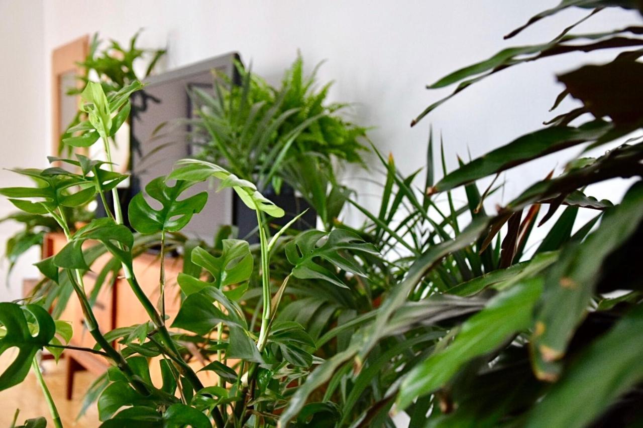 Greenbnbs: Cozy Urban Jungle In The City Centre Essen Esterno foto