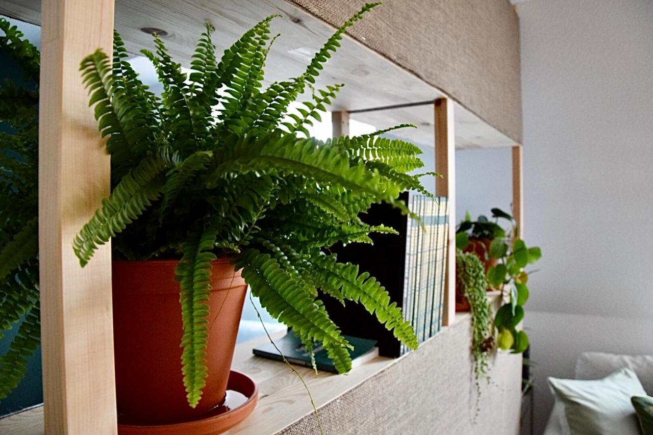 Greenbnbs: Cozy Urban Jungle In The City Centre Essen Esterno foto